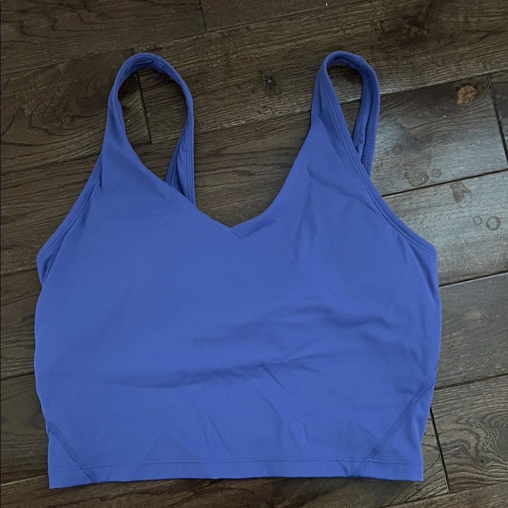 Source Unknown Vibrant Blue Crop Top